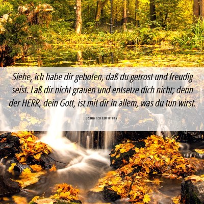 Picture 06 - Josua 1:9 LUTH1912 - Siehe, ich habe dir geboten, daß du getrost und - Bible Verse Picture