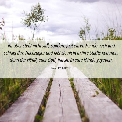 Picture 06 - Josua 10:19 LUTH1912 - Ihr aber steht nicht still, sondern jagt euren - Bible Verse Picture