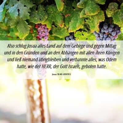 Picture 06 - Josua 10:40 LUTH1912 - Also schlug Josua alles Land auf dem Gebirge und - Bible Verse Picture