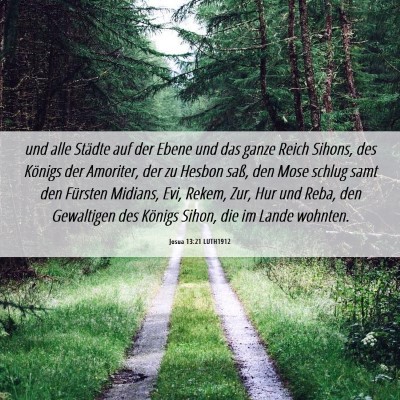 Picture 06 - Josua 13:21 LUTH1912 - und alle Städte auf der Ebene und das ganze - Bible Verse Picture