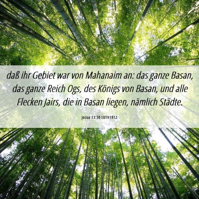 Picture 06 - Josua 13:30 LUTH1912 - daß ihr Gebiet war von Mahanaim an: das ganze - Bible Verse Picture