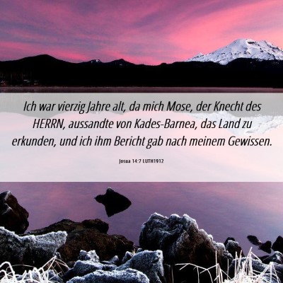 Picture 06 - Josua 14:7 LUTH1912 - Ich war vierzig Jahre alt, da mich Mose, der - Bible Verse Picture