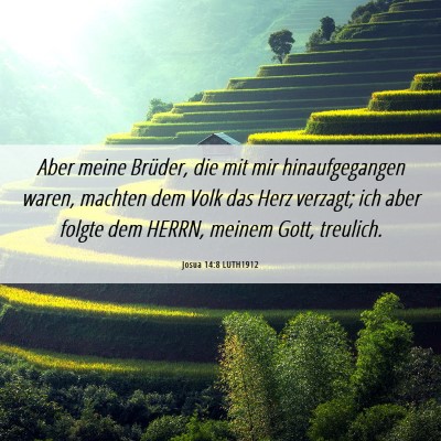 Picture 06 - Josua 14:8 LUTH1912 - Aber meine Brüder, die mit mir hinaufgegangen - Bible Verse Picture