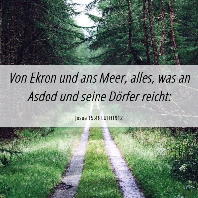 Picture 06 - Josua 15:46 LUTH1912 - Von Ekron und ans Meer, alles, was an Asdod und - Bible Verse Picture