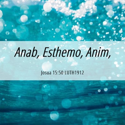 Picture 06 - Josua 15:50 LUTH1912 - Anab, Esthemo, - Bible Verse Picture