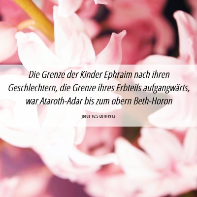 Picture 06 - Josua 16:5 LUTH1912 - Die Grenze der Kinder Ephraim nach ihren - Bible Verse Picture