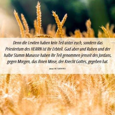 Picture 06 - Josua 18:7 LUTH1912 - Denn die Leviten haben kein Teil unter euch, - Bible Verse Picture