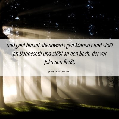 Picture 06 - Josua 19:11 LUTH1912 - und geht hinauf abendwärts gen Mareala und - Bible Verse Picture