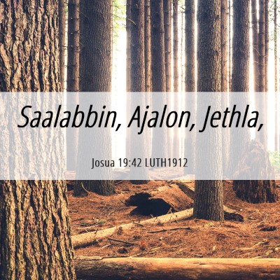Picture 06 - Josua 19:42 LUTH1912 - Saalabbin, Ajalon, - Bible Verse Picture