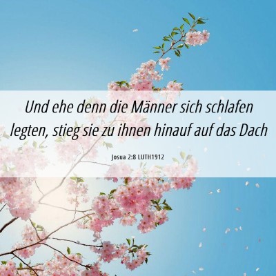 Picture 06 - Josua 2:8 LUTH1912 - Und ehe denn die Männer sich schlafen legten, - Bible Verse Picture