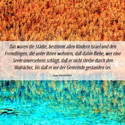 Picture 06 - Josua 20:9 LUTH1912 - Das waren die Städte, bestimmt allen Kindern - Bible Verse Picture