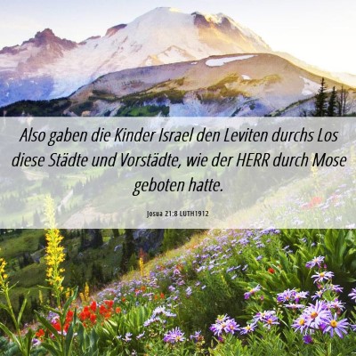 Picture 06 - Josua 21:8 LUTH1912 - Also gaben die Kinder Israel den Leviten durchs - Bible Verse Picture