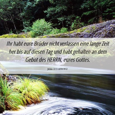 Picture 06 - Josua 22:3 LUTH1912 - Ihr habt eure Brüder nicht verlassen eine lange - Bible Verse Picture