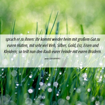 Picture 06 - Josua 22:8 LUTH1912 - sprach er zu ihnen: Ihr kommt wieder heim mit - Bible Verse Picture
