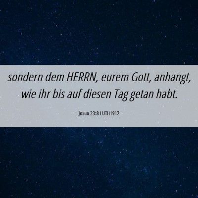 Picture 06 - Josua 23:8 LUTH1912 - sondern dem HERRN, eurem Gott, anhangt, wie ihr - Bible Verse Picture