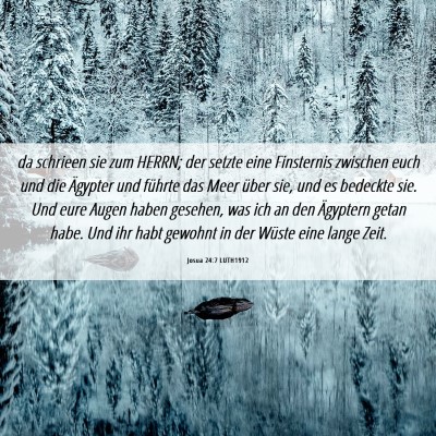 Picture 06 - Josua 24:7 LUTH1912 - da schrieen sie zum HERRN; der setzte eine - Bible Verse Picture