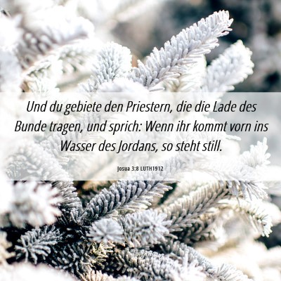 Picture 06 - Josua 3:8 LUTH1912 - Und du gebiete den Priestern, die die Lade des - Bible Verse Picture