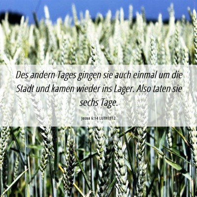 Picture 06 - Josua 6:14 LUTH1912 - Des andern Tages gingen sie auch einmal um die - Bible Verse Picture