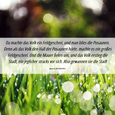 Picture 06 - Josua 6:20 LUTH1912 - Da machte das Volk ein Feldgeschrei, und man - Bible Verse Picture