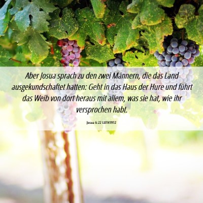 Picture 06 - Josua 6:22 LUTH1912 - Aber Josua sprach zu den zwei Männern, die das - Bible Verse Picture