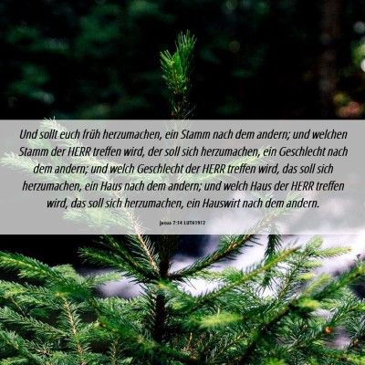 Picture 06 - Josua 7:14 LUTH1912 - Und sollt euch früh herzumachen, ein Stamm nach - Bible Verse Picture