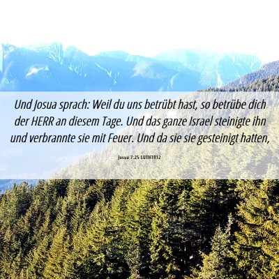 Picture 06 - Josua 7:25 LUTH1912 - Und Josua sprach: Weil du uns betrübt hast, so - Bible Verse Picture
