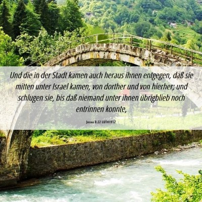 Picture 06 - Josua 8:22 LUTH1912 - Und die in der Stadt kamen auch heraus ihnen - Bible Verse Picture