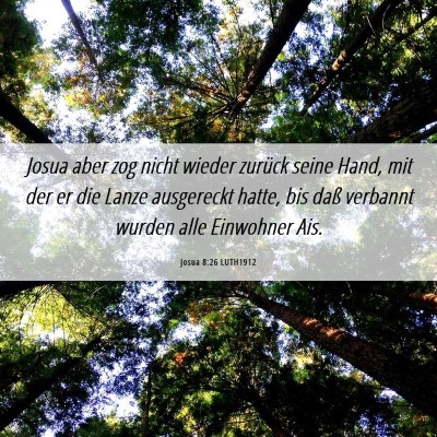 Picture 06 - Josua 8:26 LUTH1912 - Josua aber zog nicht wieder zurück seine Hand, - Bible Verse Picture
