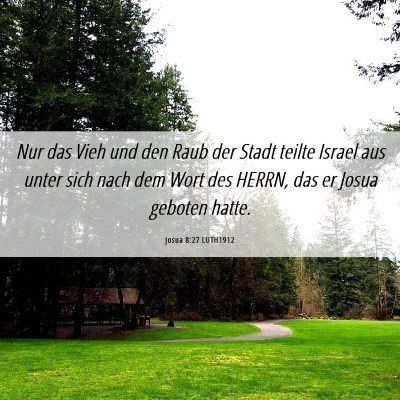 Picture 06 - Josua 8:27 LUTH1912 - Nur das Vieh und den Raub der Stadt teilte Israel - Bible Verse Picture