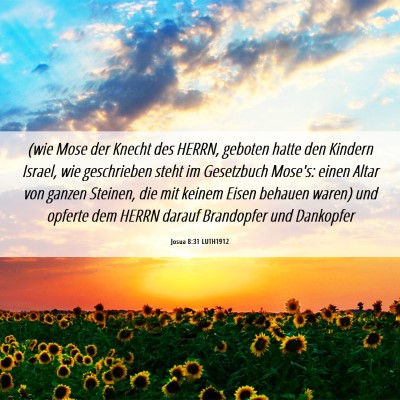 Picture 06 - Josua 8:31 LUTH1912 - (wie Mose der Knecht des HERRN, geboten hatte den - Bible Verse Picture
