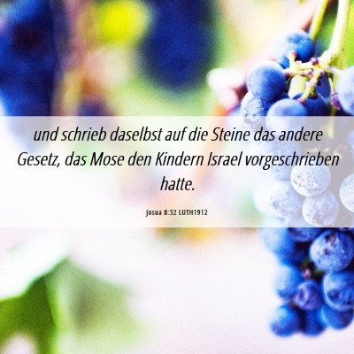 Picture 06 - Josua 8:32 LUTH1912 - und schrieb daselbst auf die Steine das andere - Bible Verse Picture
