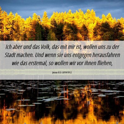 Picture 06 - Josua 8:5 LUTH1912 - Ich aber und das Volk, das mit mir ist, wollen - Bible Verse Picture