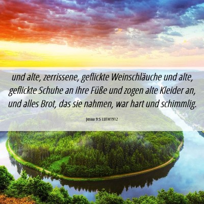 Picture 06 - Josua 9:5 LUTH1912 - und alte, zerrissene, geflickte Weinschläuche - Bible Verse Picture