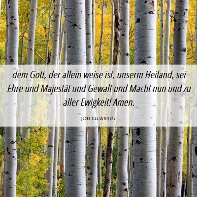 Picture 06 - Judas 1:25 LUTH1912 - dem Gott, der allein weise ist, unserm Heiland, - Bible Verse Picture