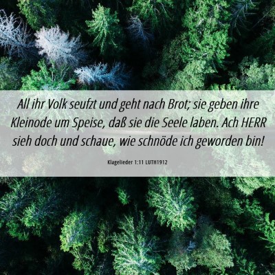 Picture 06 - Klagelieder 1:11 LUTH1912 - All ihr Volk seufzt und geht nach Brot; sie geben - Bible Verse Picture