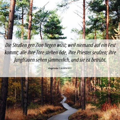 Picture 06 - Klagelieder 1:4 LUTH1912 - Die Straßen gen Zion liegen wüst; weil niemand - Bible Verse Picture