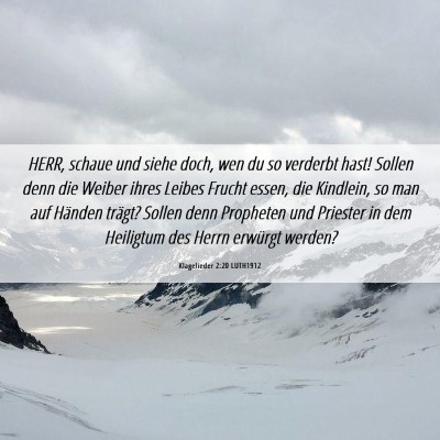 Picture 06 - Klagelieder 2:20 LUTH1912 - HERR, schaue und siehe doch, wen du so verderbt - Bible Verse Picture