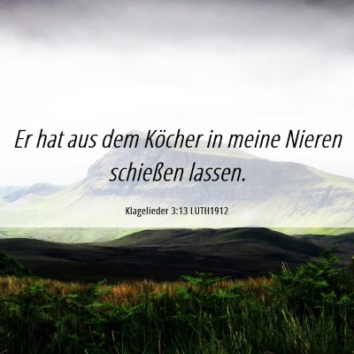 Picture 06 - Klagelieder 3:13 LUTH1912 - Er hat aus dem Köcher in meine Nieren schießen - Bible Verse Picture