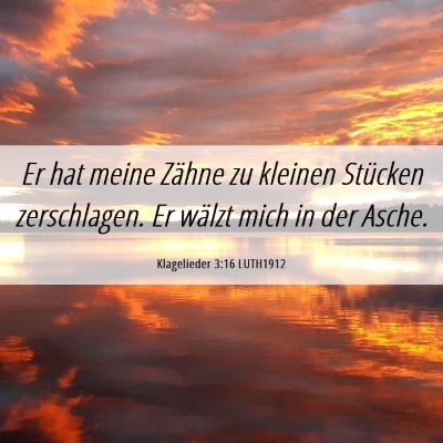 Picture 06 - Klagelieder 3:16 LUTH1912 - Er hat meine Zähne zu kleinen Stücken - Bible Verse Picture