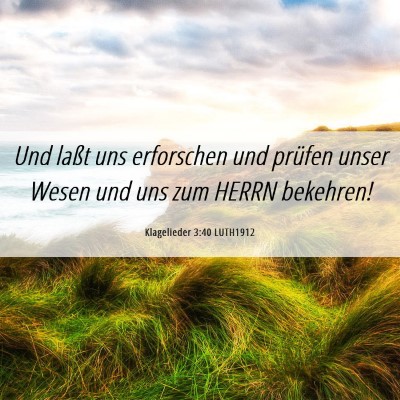 Picture 06 - Klagelieder 3:40 LUTH1912 - Und laßt uns erforschen und prüfen unser Wesen - Bible Verse Picture