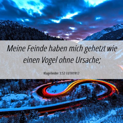 Picture 06 - Klagelieder 3:52 LUTH1912 - Meine Feinde haben mich gehetzt wie einen Vogel - Bible Verse Picture