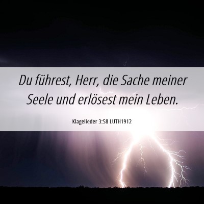 Picture 06 - Klagelieder 3:58 LUTH1912 - Du führest, Herr, die Sache meiner Seele und - Bible Verse Picture