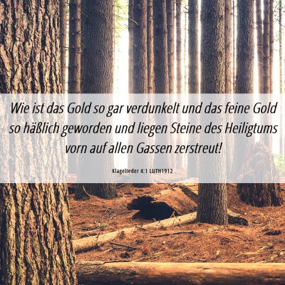 Picture 06 - Klagelieder 4:1 LUTH1912 - Wie ist das Gold so gar verdunkelt und das feine - Bible Verse Picture