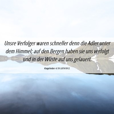 Picture 06 - Klagelieder 4:19 LUTH1912 - Unsre Verfolger waren schneller denn die Adler - Bible Verse Picture