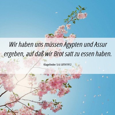 Picture 06 - Klagelieder 5:6 LUTH1912 - Wir haben uns müssen Ägypten und Assur ergeben, - Bible Verse Picture