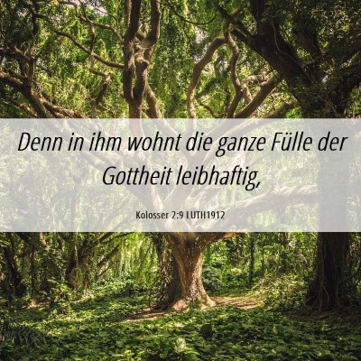 Picture 06 - Kolosser 2:9 LUTH1912 - Denn in ihm wohnt die ganze Fülle der Gottheit - Bible Verse Picture