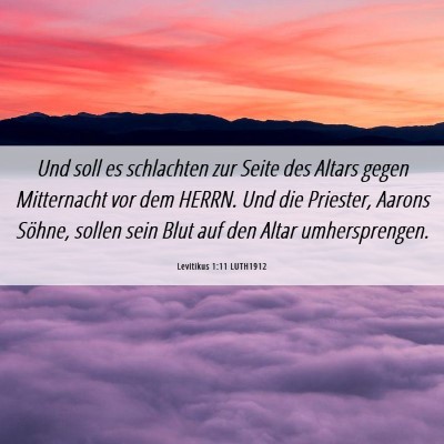 Picture 06 - Levitikus 1:11 LUTH1912 - Und soll es schlachten zur Seite des Altars gegen - Bible Verse Picture