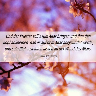 Picture 06 - Levitikus 1:15 LUTH1912 - Und der Priester soll's zum Altar bringen und ihm - Bible Verse Picture