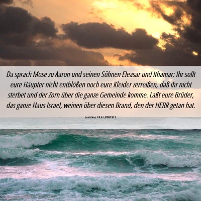 Picture 06 - Levitikus 10:6 LUTH1912 - Da sprach Mose zu Aaron und seinen Söhnen - Bible Verse Picture