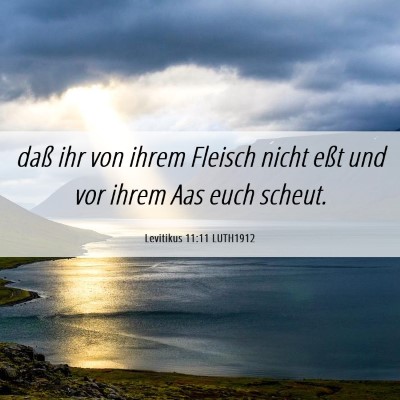 Picture 06 - Levitikus 11:11 LUTH1912 - daß ihr von ihrem Fleisch nicht eßt und vor - Bible Verse Picture